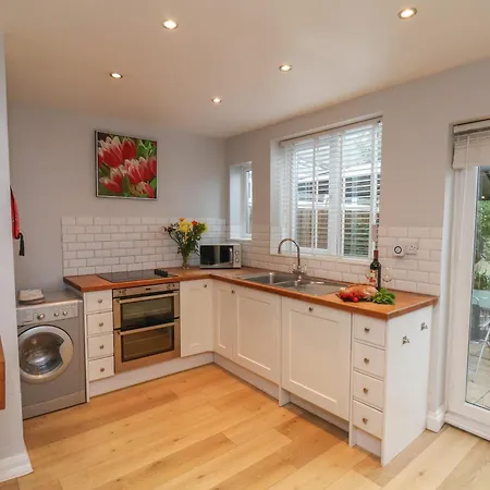 Tulip * Saltburn-by-the-Sea